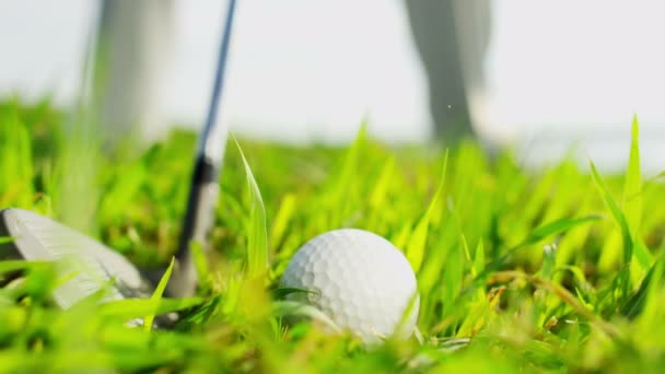 Golf-spelare som spelar på fältet golf — Stockvideo
