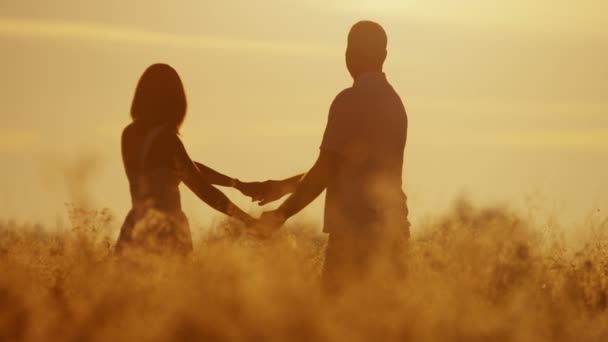 夕暮れの草原の上を歩いて夫婦 — ストック動画