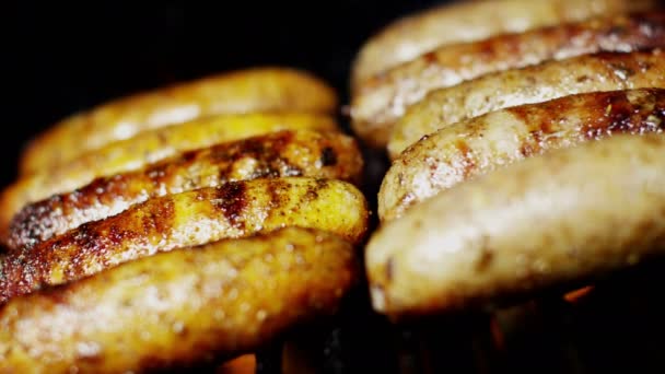 Grilled meat sausages — Stock Video