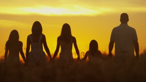 Pais com filhas no prado ao pôr do sol — Vídeo de Stock