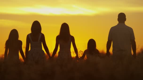 Ouders met dochters in de weide bij zonsondergang — Stockvideo