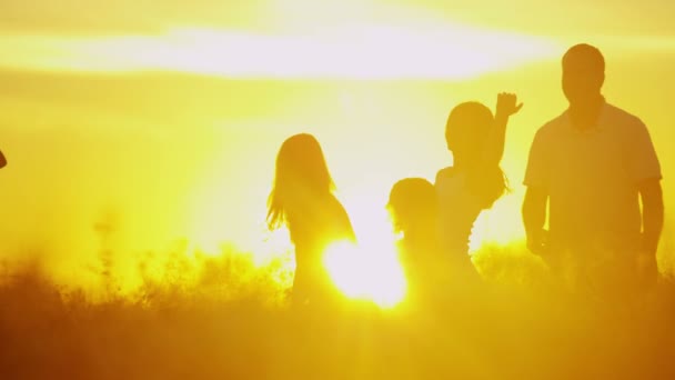 Eltern mit Töchtern auf der Wiese bei Sonnenuntergang — Stockvideo