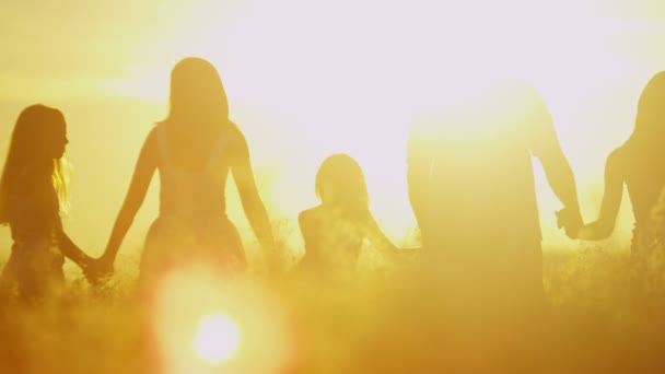 Rodiče s dcerami v louce při západu slunce — Stock video
