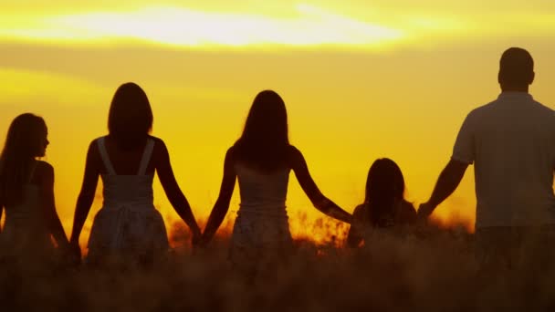 Pais com filhas no prado ao pôr do sol — Vídeo de Stock