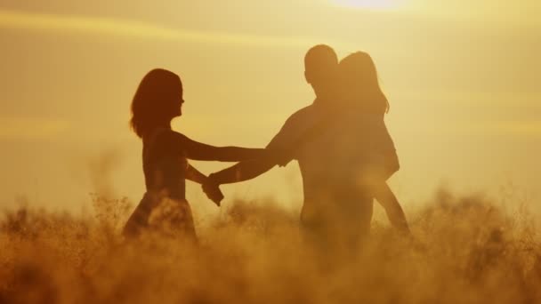 Parents with daughter walking on meadow — Stock Video