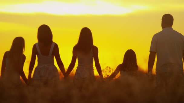 Parents avec leurs filles dans la prairie au coucher du soleil — Video