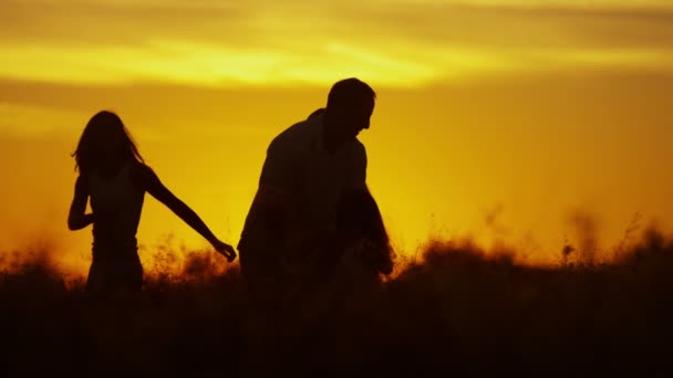Parents avec des filles dans la prairie au coucher du soleil — Video