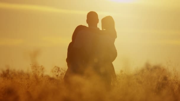 Parents with daughter walking on meadow — Stock Video