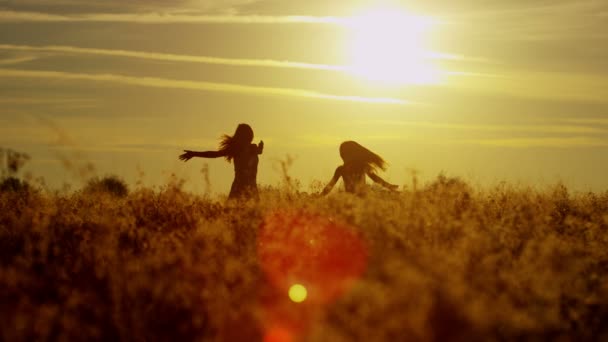 Chicas divertirse al aire libre en el campo — Vídeo de stock