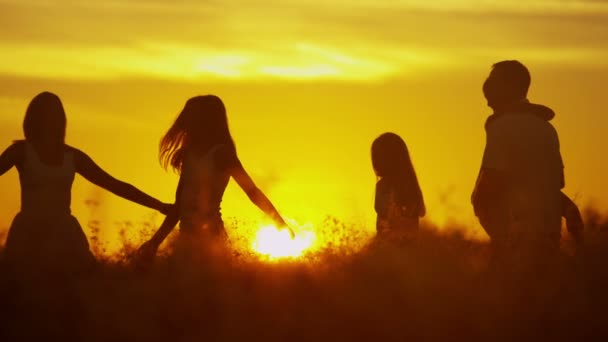 Padres con hijas en el prado al atardecer — Vídeos de Stock