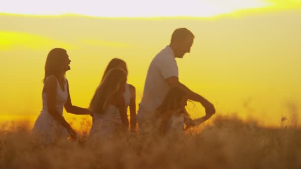 Pais com filhas no prado ao pôr do sol — Vídeo de Stock