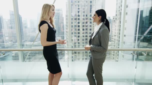 Reunión de mujeres de negocios en Dubai edificio de oficinas — Vídeo de stock