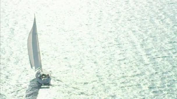ペルシャ湾のクルージング ヨット — ストック動画