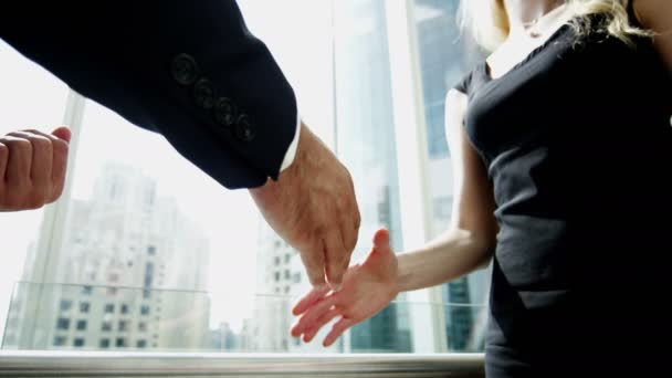 Femme d'affaires et homme d'affaires serrant la main — Video