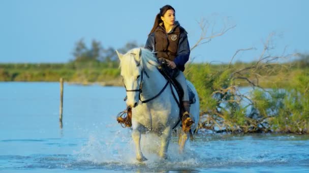 Vrouwelijke cowboy rijden op Camargue paard — Stockvideo