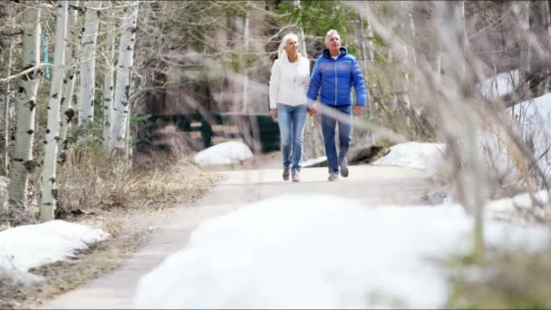 Pareja mayor disfrutando de su paseo de invierno — Vídeos de Stock