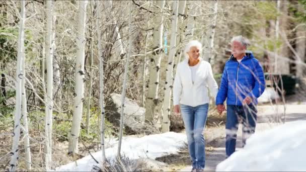 Senior para cieszyć się ich zima chodzić — Wideo stockowe