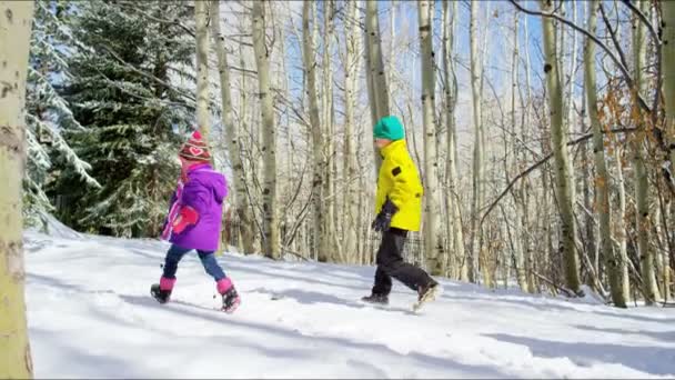 Kaukasische familie met sneeuwballen spelende kinderen — Stockvideo