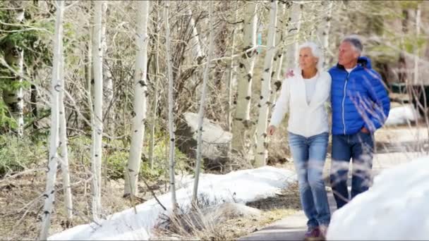 Senior para cieszyć się ich zima chodzić — Wideo stockowe