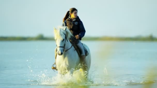 Θηλυκό καουμπόη ιππασία στην Camargue άλογο — Αρχείο Βίντεο
