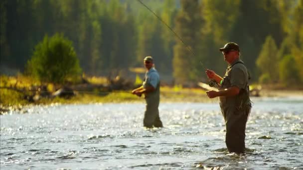 Machos en la pesca con mosca de agua dulce — Vídeos de Stock