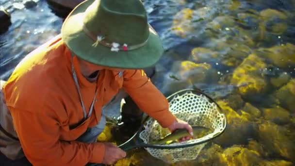 Fisherman with catch in keep net — Stock Video