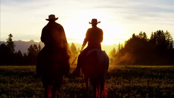 Cowboy Jinetes en el desierto al atardecer — Vídeo de stock