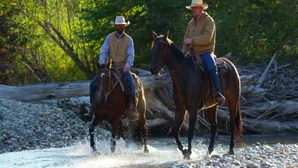 Cavaliers à cheval marchant dans la rivière — Video