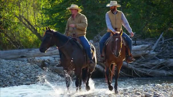 Kowboje jazda konna konie w rzece — Wideo stockowe