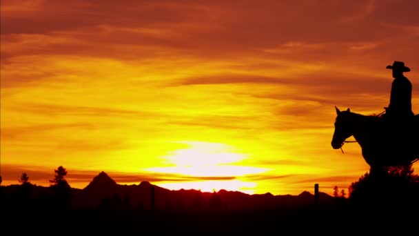 Cowboy Rider en pleine nature au coucher du soleil — Video