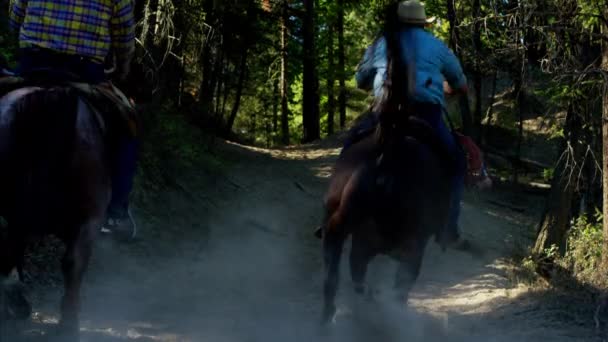 Paarden galopperen met Cowboy renners — Stockvideo