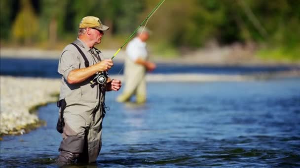 Pescador vadeando en el río Wilderness — Vídeo de stock