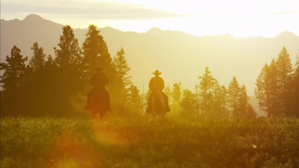 Cowboy ryttare i vildmarken skogsområde — Stockvideo