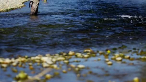 Visser waden in woestijn rivier — Stockvideo