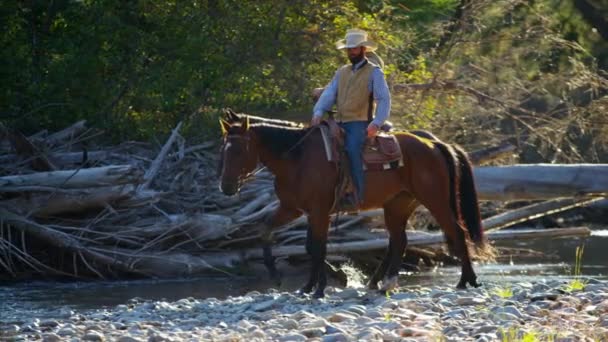 Riders on horses in Rocky mountains — Stock Video