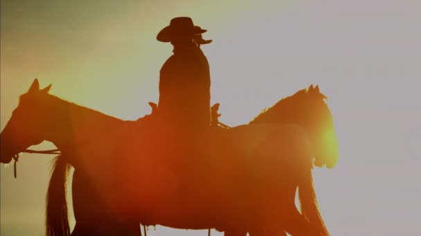 Cowboy Jinetes en el bosque al atardecer — Vídeos de Stock