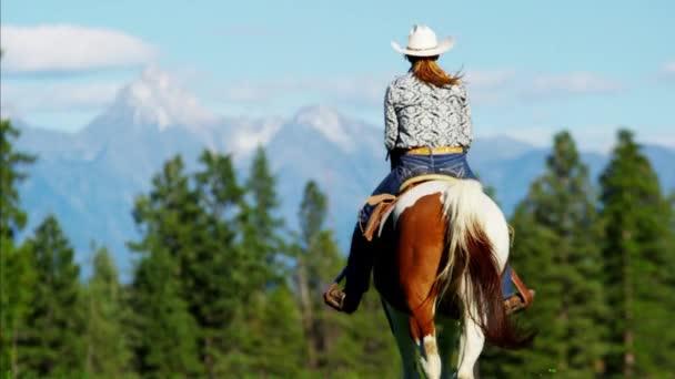 Horse rider on Kootenay Mountain Range — Stock Video