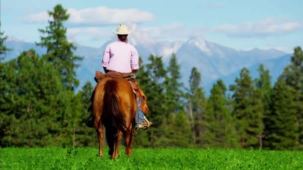 Cowgirl galopperen over bergketen — Stockvideo