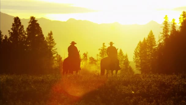 Cowboy Riders dans une forêt sauvage — Video