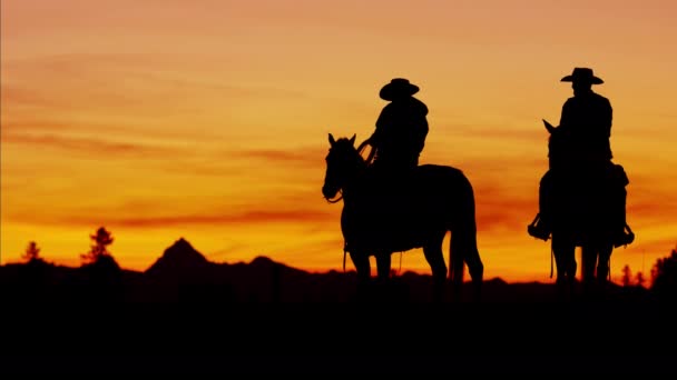 Cowboy Riders em área de floresta selvagem — Vídeo de Stock