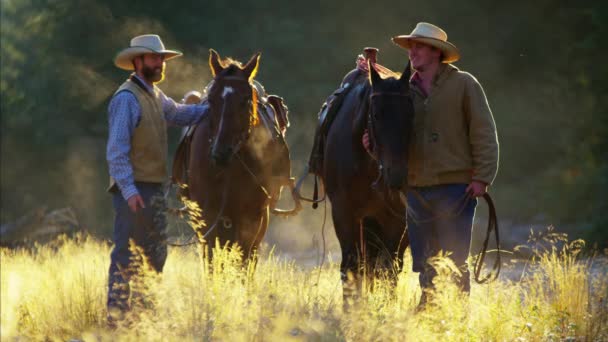 Cowboy Cavalieri a riposo con i cavalli — Video Stock