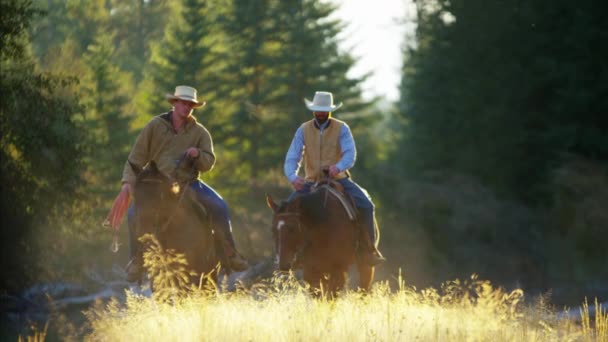 Ranch hands riding horses — Stock Video