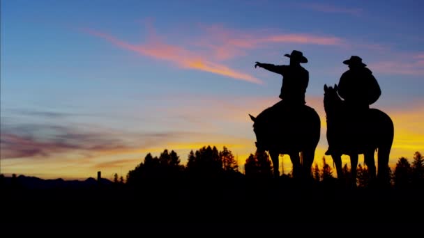 Cowboy ryttare i vildmarksområde — Stockvideo