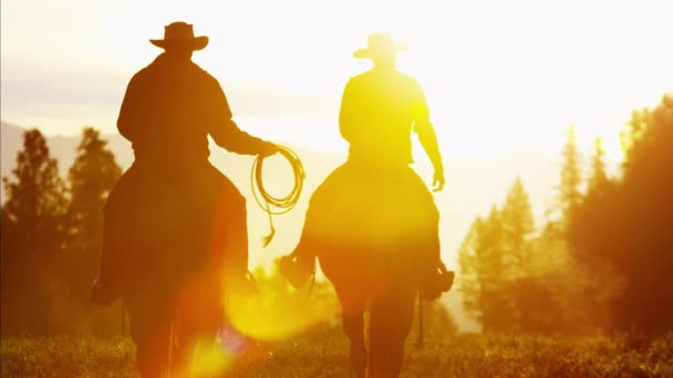 Cowboy Jinetes en el área silvestre del bosque — Vídeos de Stock