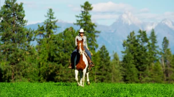 Cowgirl vágtató szerte hegység — Stock videók