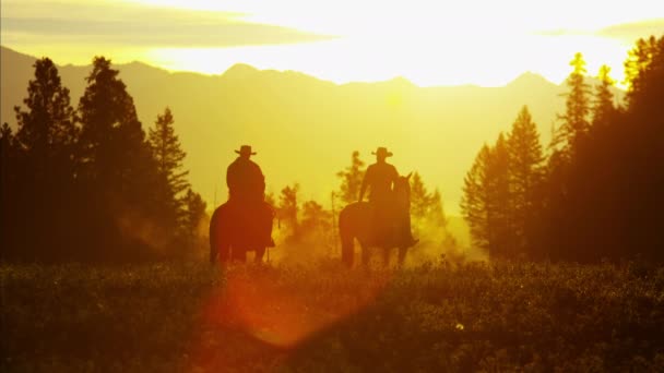 Cowboy Riders in forest wilderness area — Stock Video