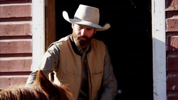 Cowboy collage avec cheval — Video