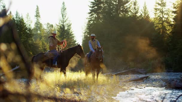 Cavaleiros em cavalos no vale — Vídeo de Stock