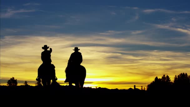 Cowboy-Fahrer in der Wildnis bei Sonnenuntergang — Stockvideo
