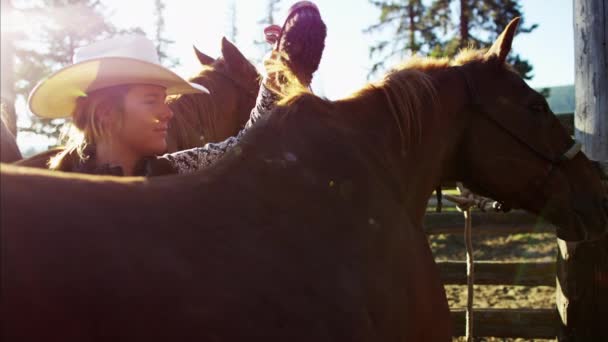 Cowgirl grooming horse — Stock Video